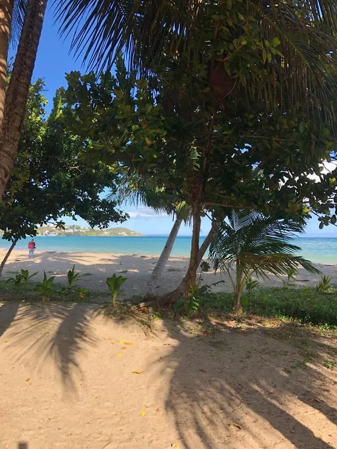 Tropical Prince Villa Naguabo Tatil Evi