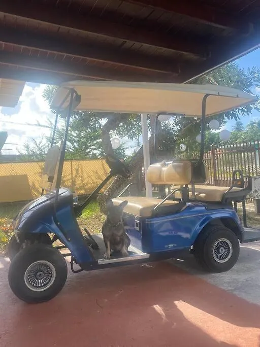Tropical Prince Villa Naguabo Tatil Evi